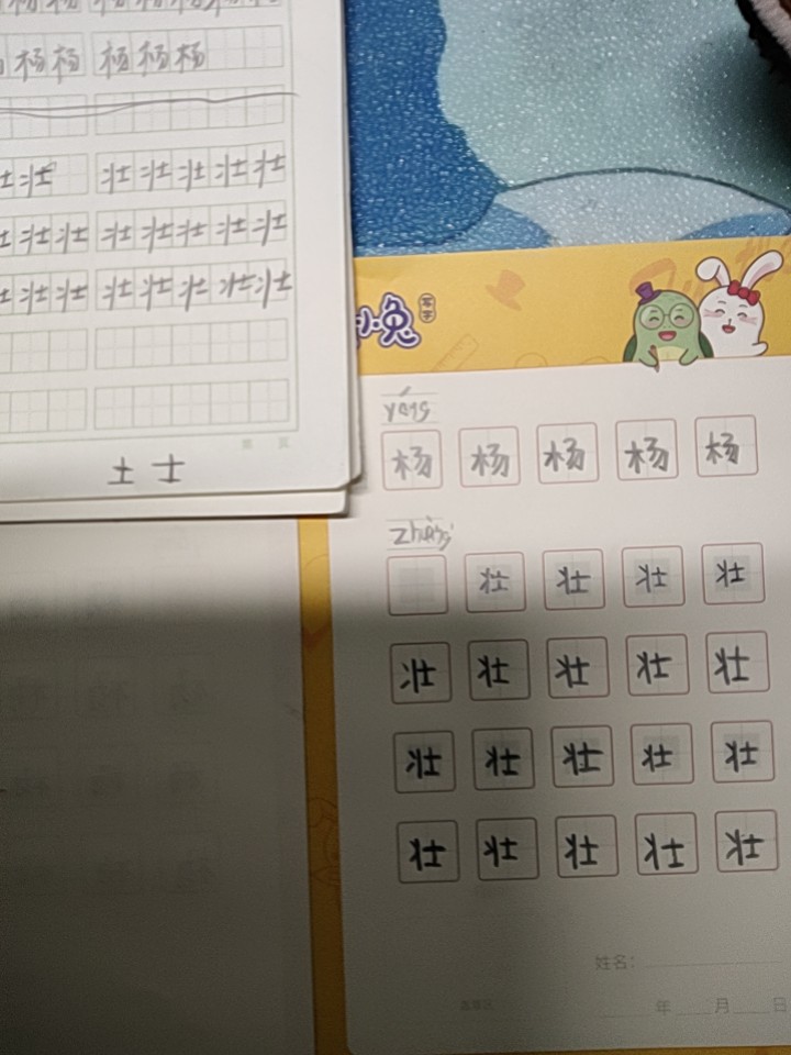 龟小兔写字优秀作品展示：马雪/二年级/练字1天