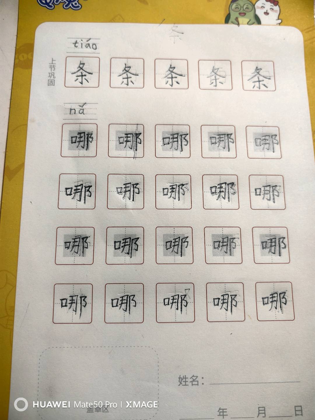 龟小兔写字优秀作品展示：孙钰苗/二年级/练字1天