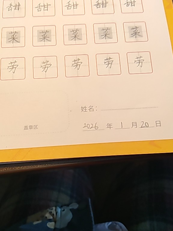 龟小兔写字优秀作品展示：暖宝/三年级/练字1天